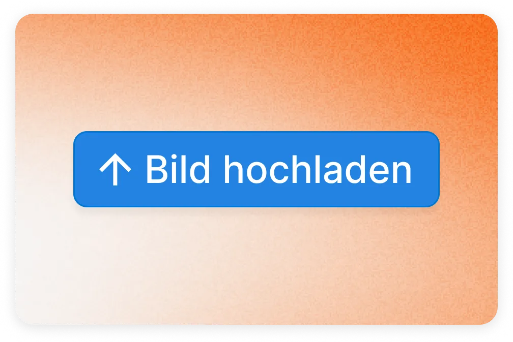 Schritt 1: Bilder zu Pedra hochladen - Screenshot des Prozesses