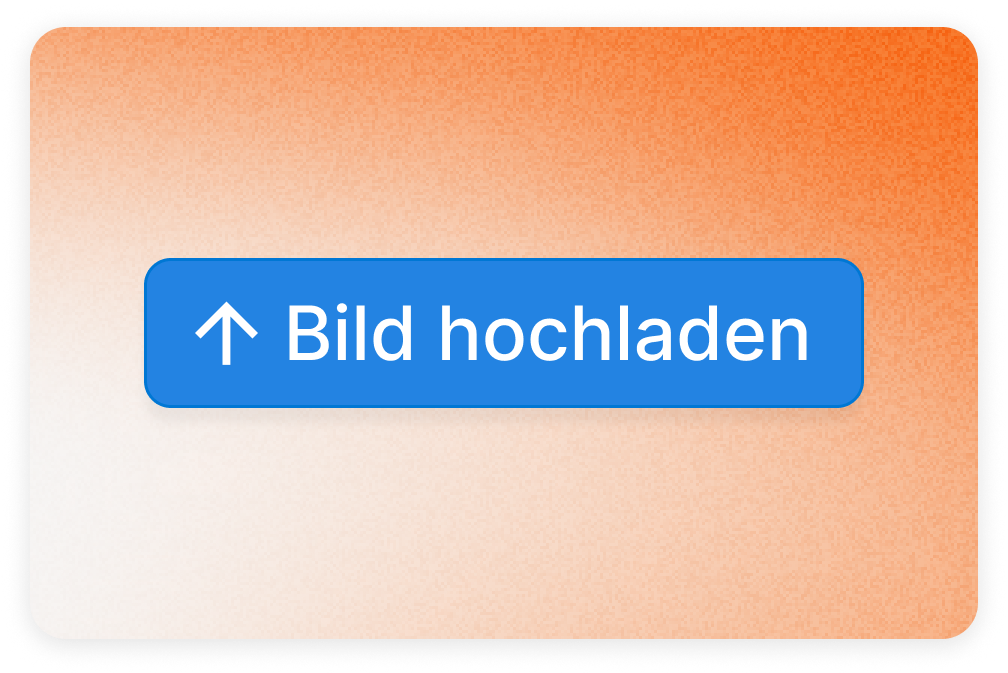 Schritt 1: Bilder zu Pedra hochladen - Screenshot des Prozesses